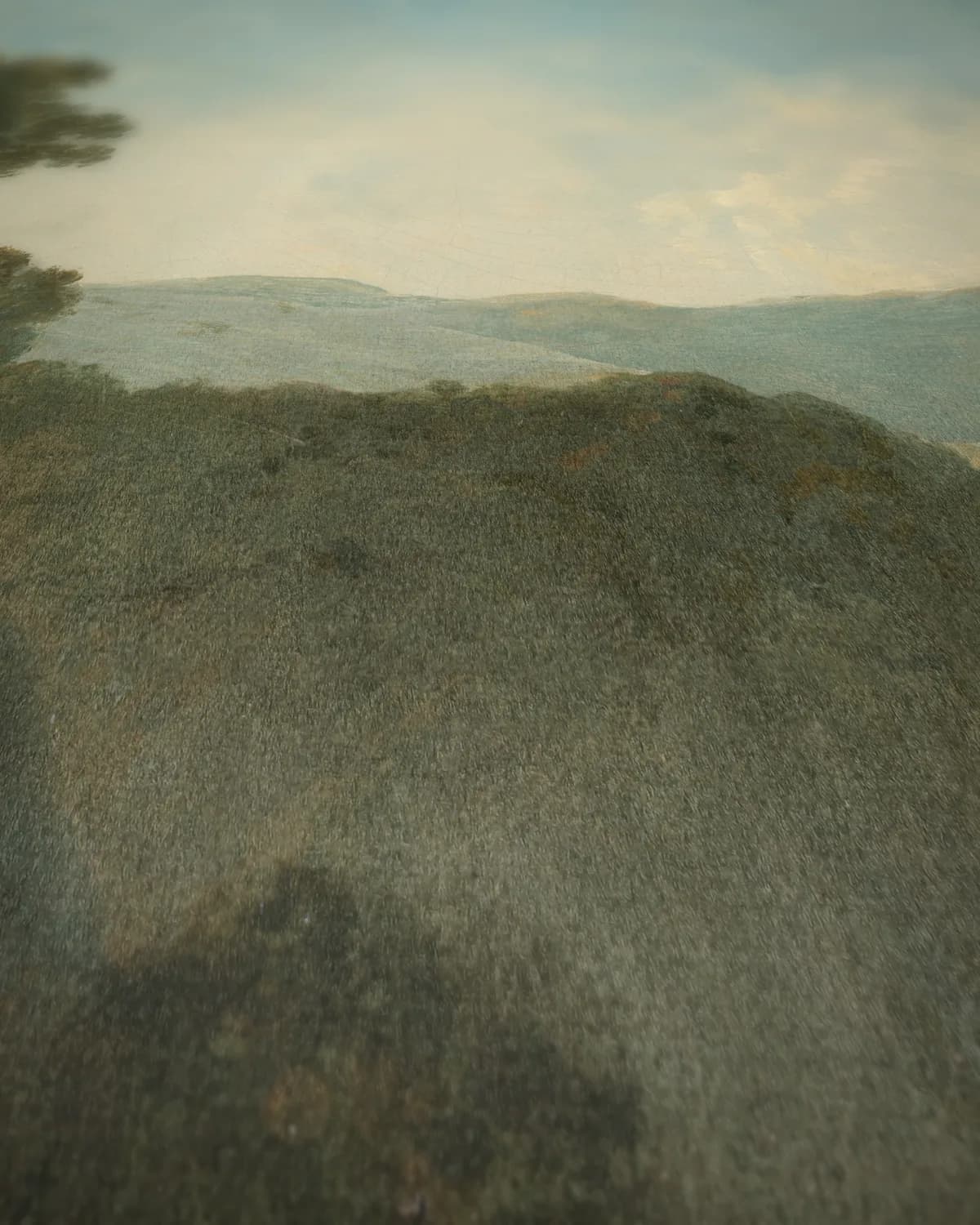Cader Idris, met de rivier de Mawddach op geweven fluweel, uitsnede 1 van 3