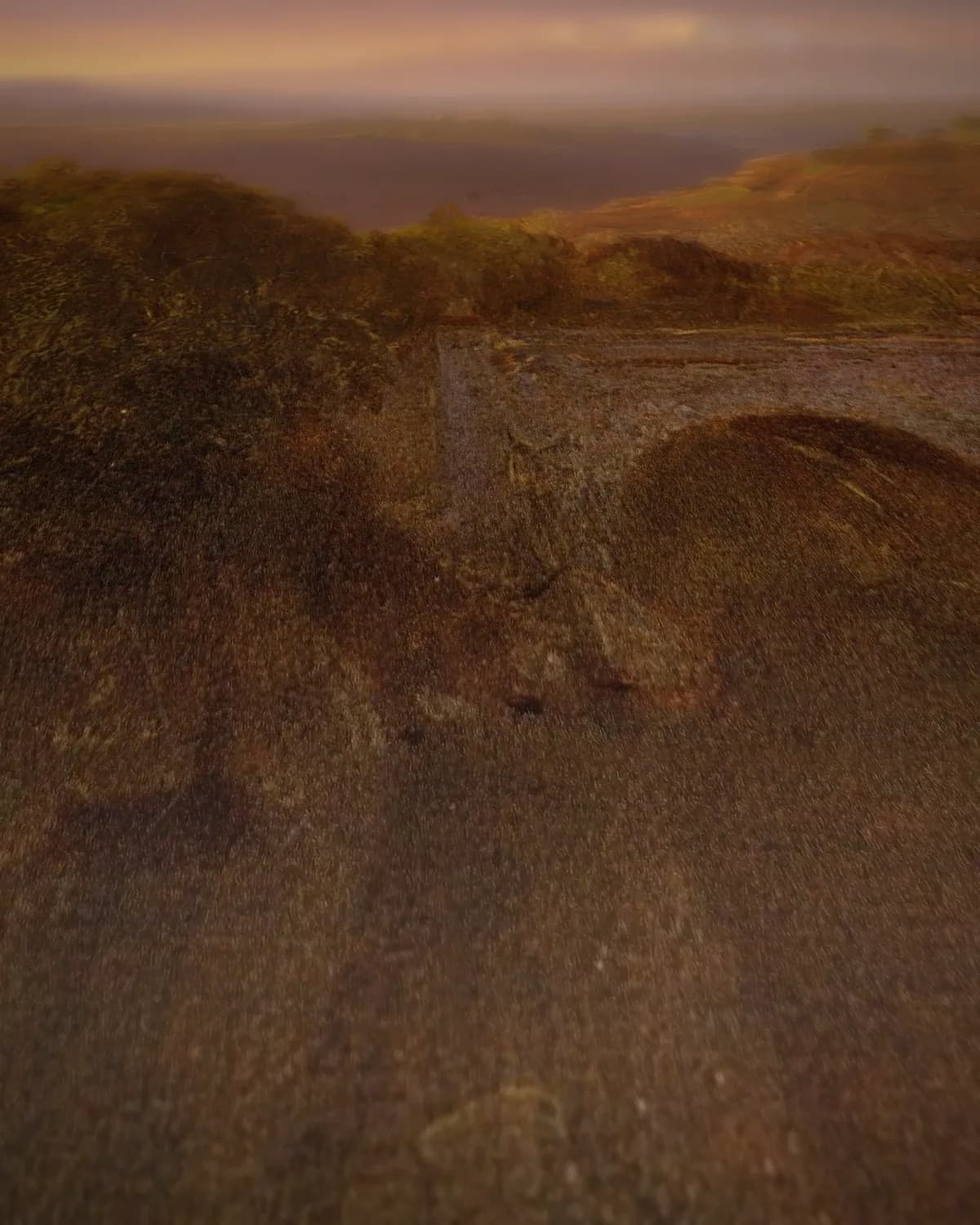 Chimborazo bij zonsopgang op geweven fluweel, uitsnede 1 van 3