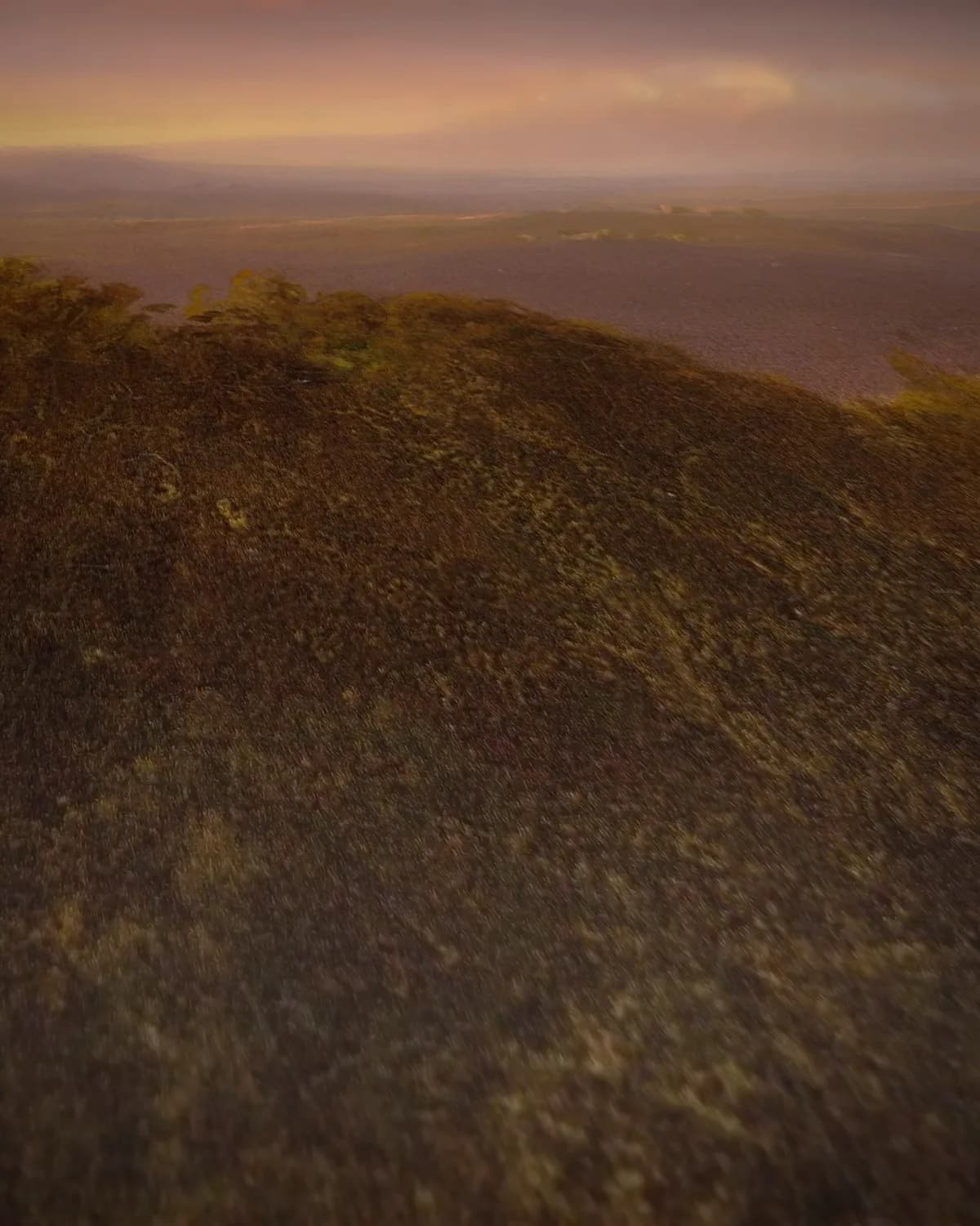 Chimborazo bij zonsopgang op geweven fluweel, uitsnede 2 van 3