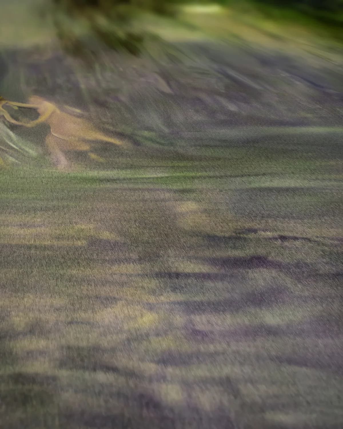 De Droom aan het Water op geweven fluweel, uitsnede 2 van 3