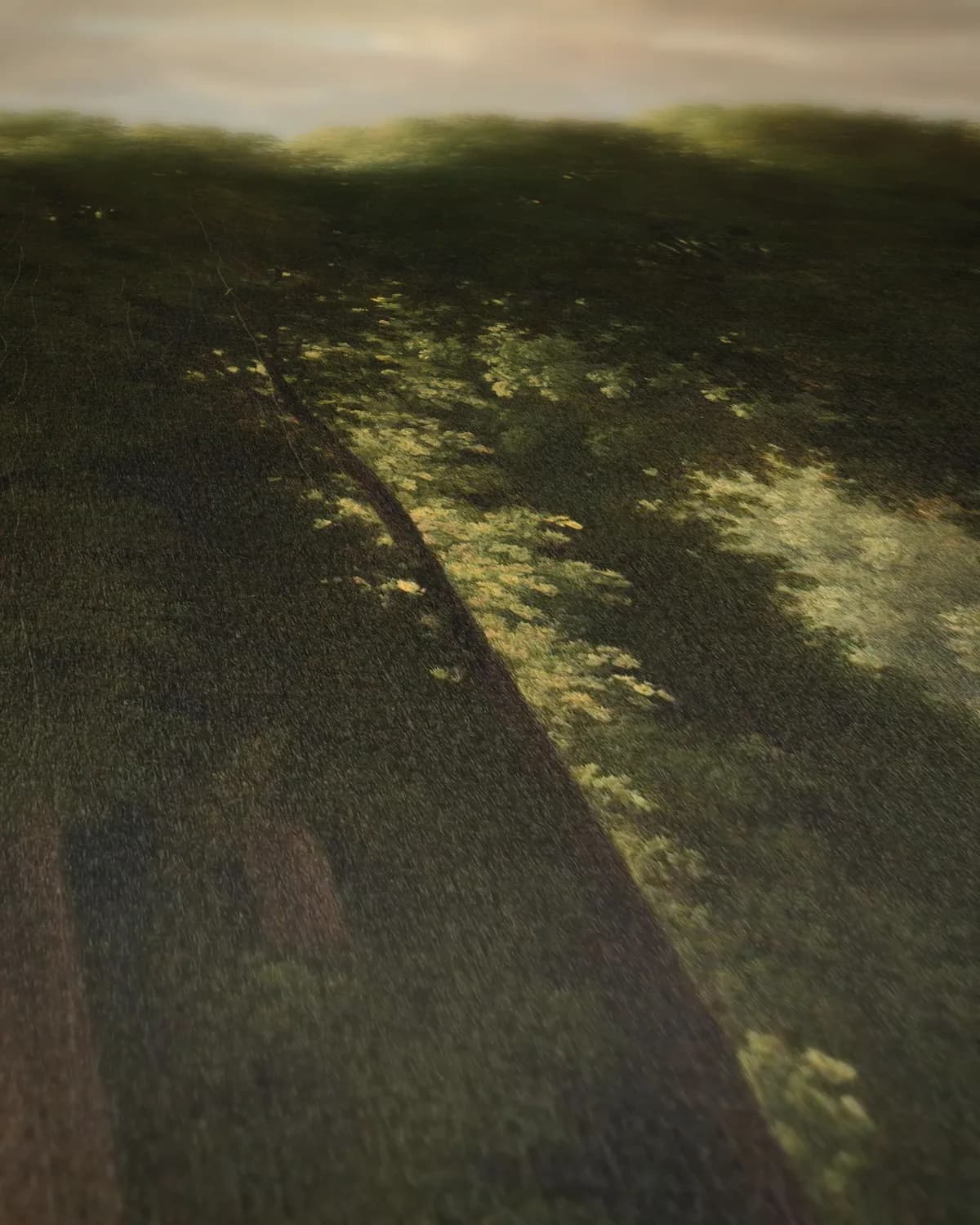 De ingang van het park van Saint-Cloud bij Parijs op geweven fluweel, uitsnede 2 van 3