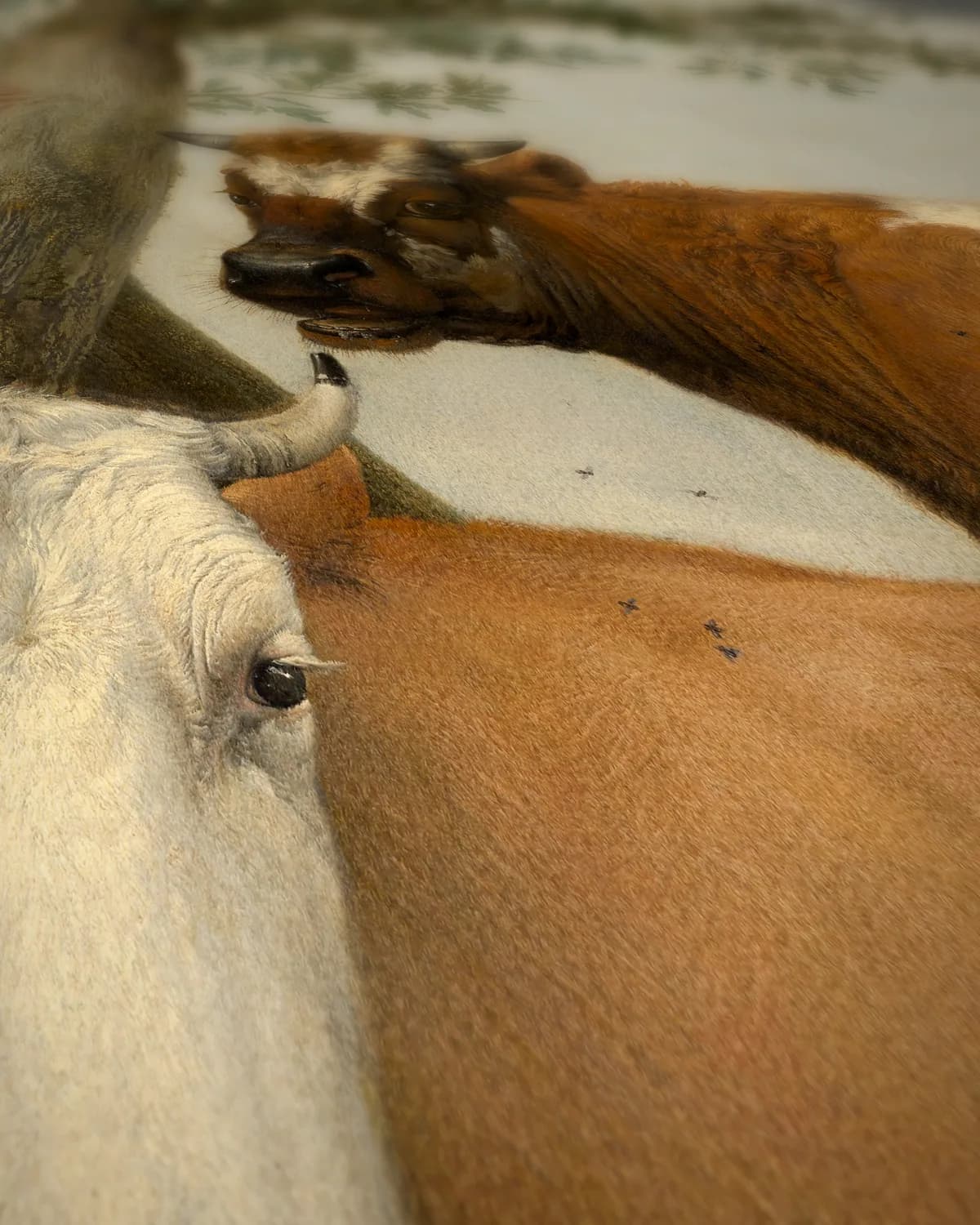 De stier op geweven fluweel, uitsnede 2 van 3