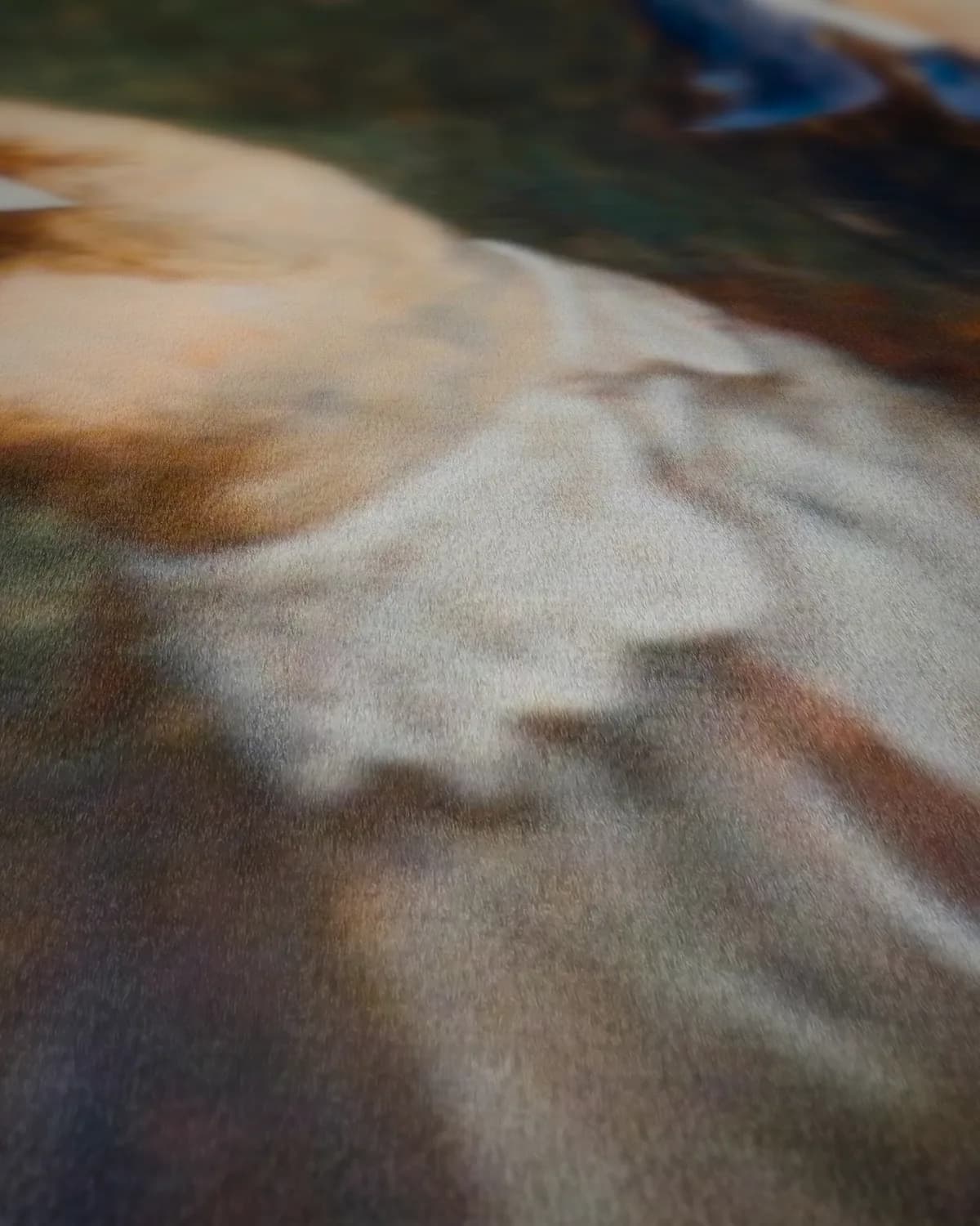 De trouwkaarten op geweven fluweel, uitsnede 1 van 3