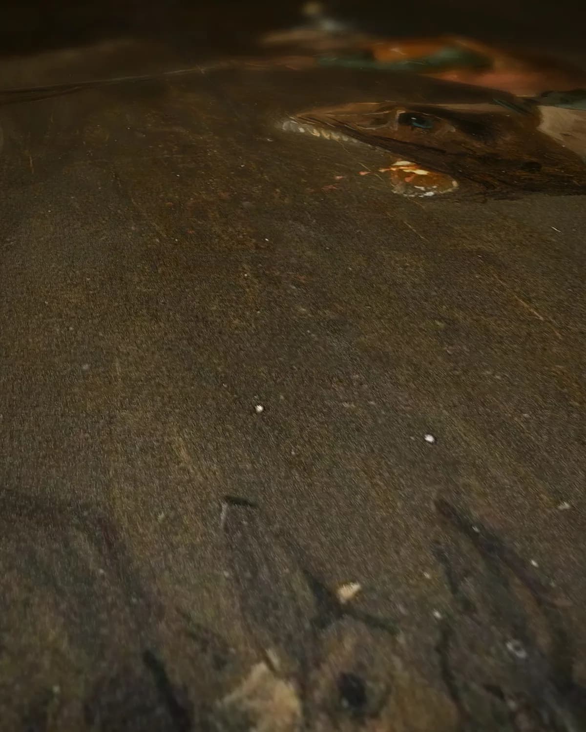 De verzoeking van de heilige Antonius op geweven fluweel, uitsnede 2 van 3