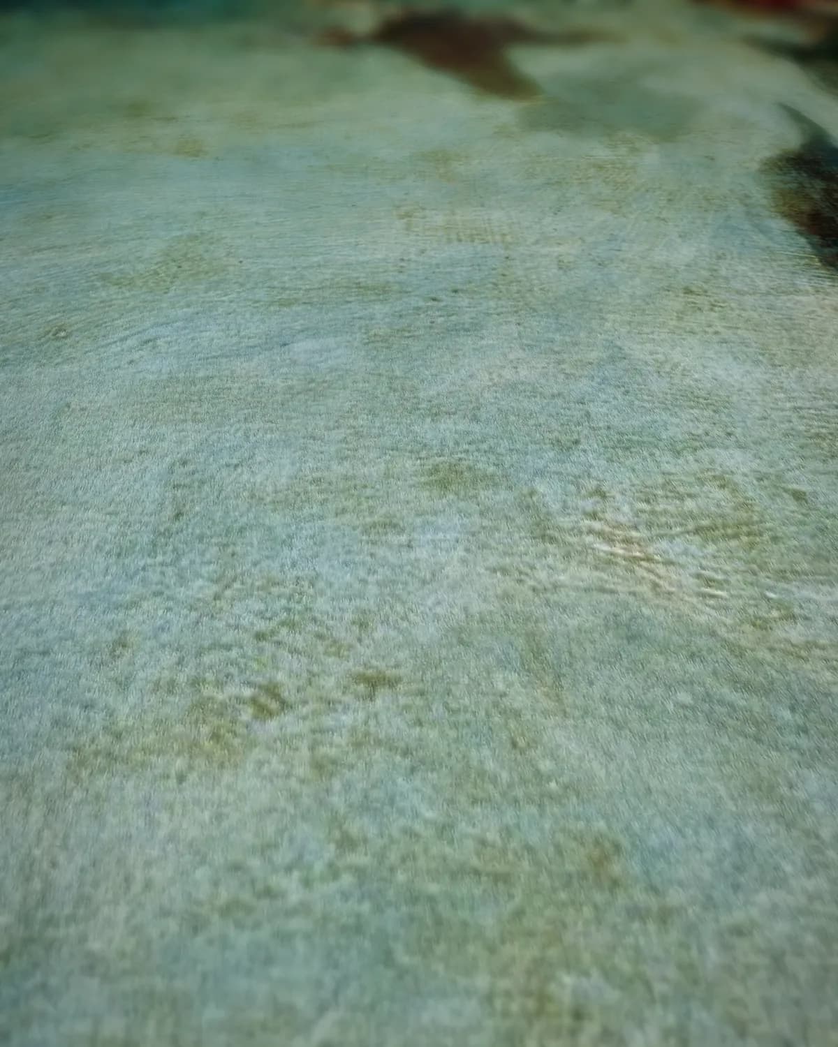 De wilde jacht op geweven fluweel, uitsnede 1 van 3