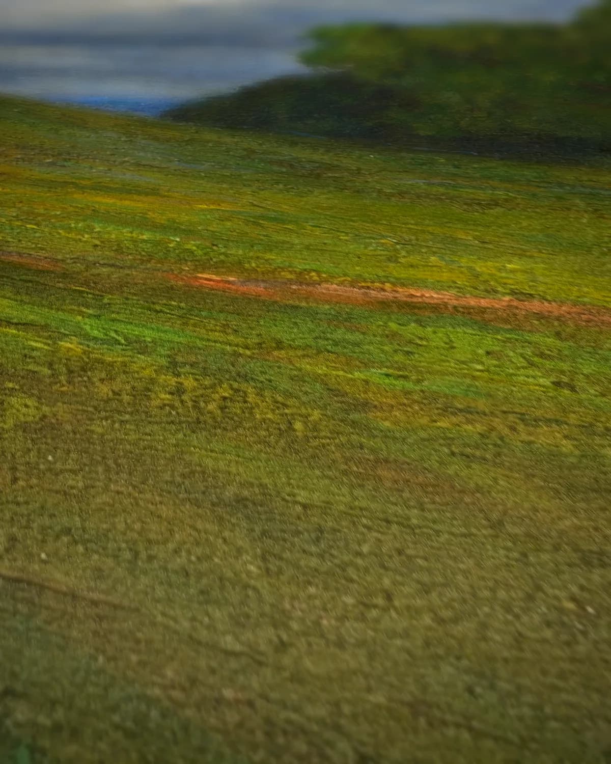 De wolk (Molnet, 1896) op geweven fluweel, uitsnede 2 van 3