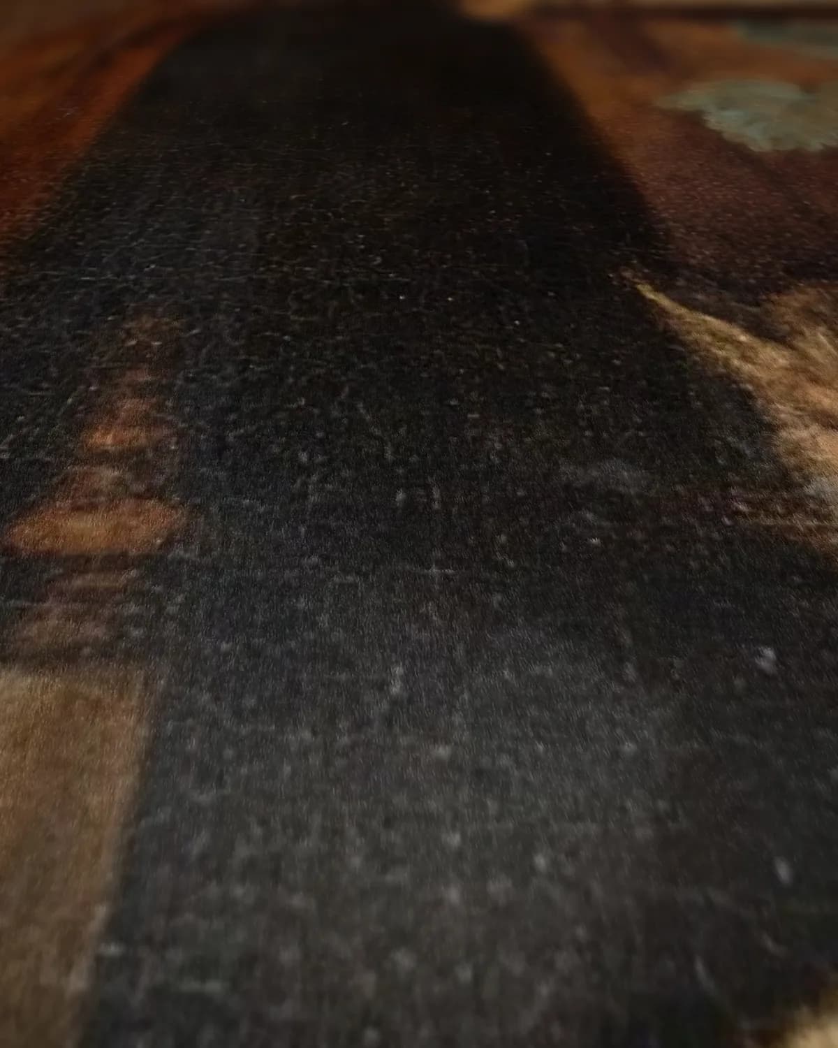 Dienstmeid maakt vis schoon voor het huis op geweven fluweel, uitsnede 1 van 3