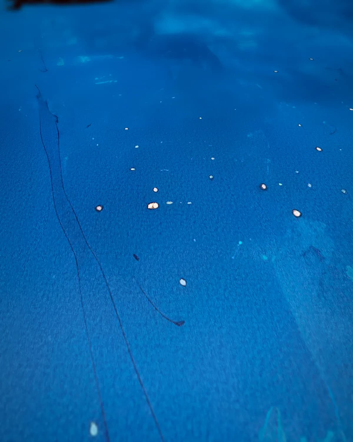 Diepblauw Zweven op geweven fluweel, uitsnede 1 van 3