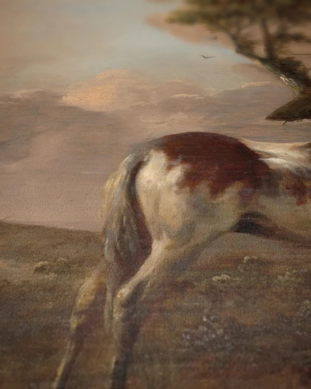 Een bont paard op geweven fluweel, uitsnede 3 van 3