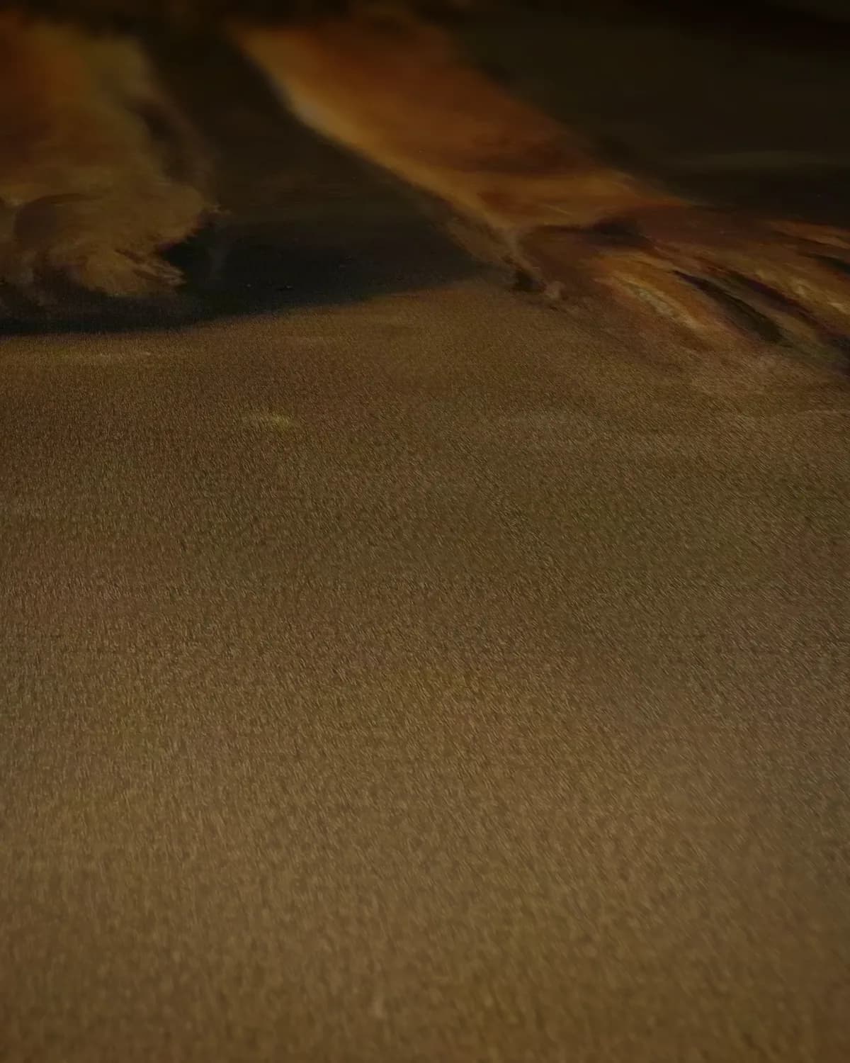 Een leeuw uit de menagerie van koning Lodewijk Napoleon op geweven fluweel, uitsnede 2 van 3