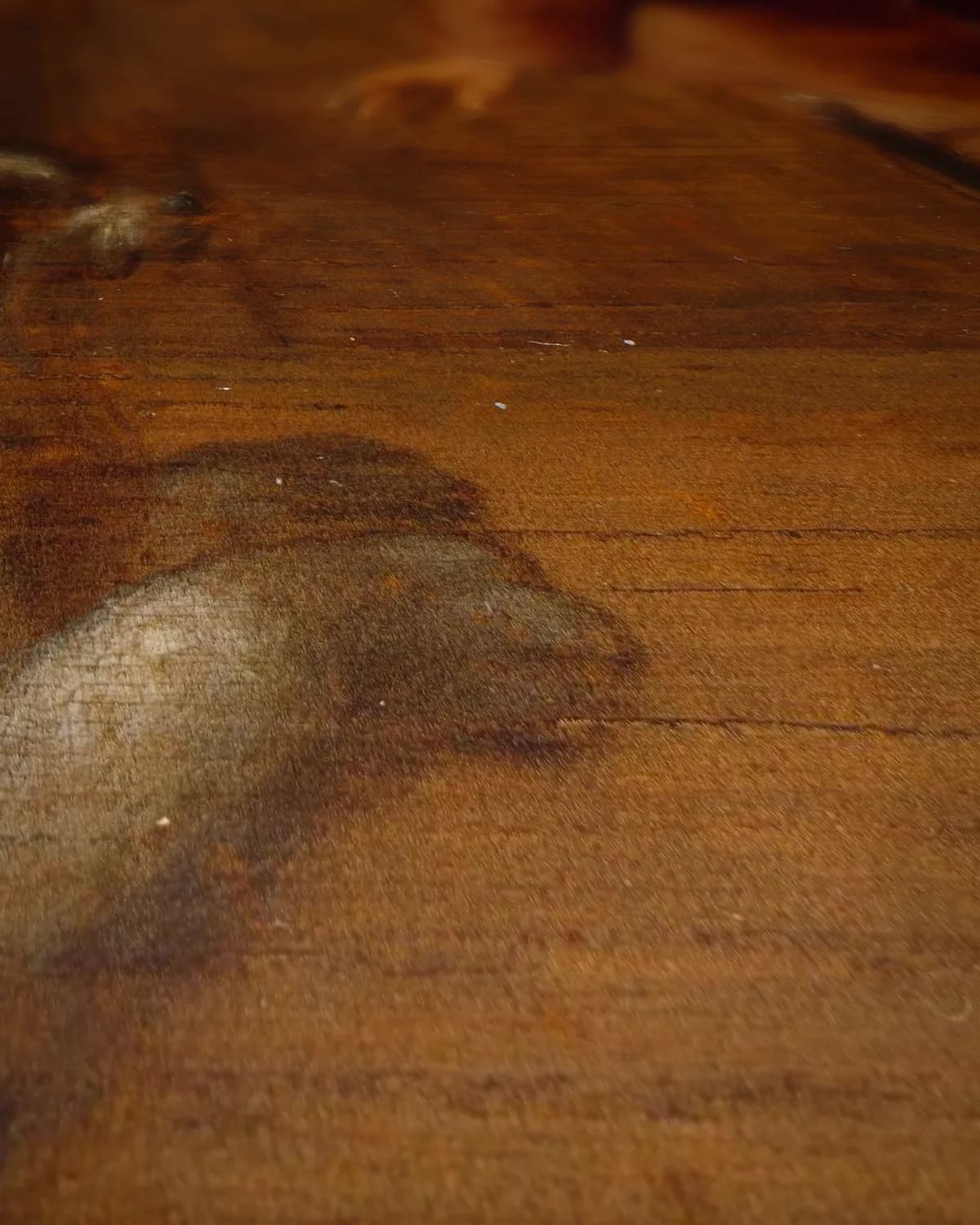 Een man dansend met een hond op geweven fluweel, uitsnede 2 van 3