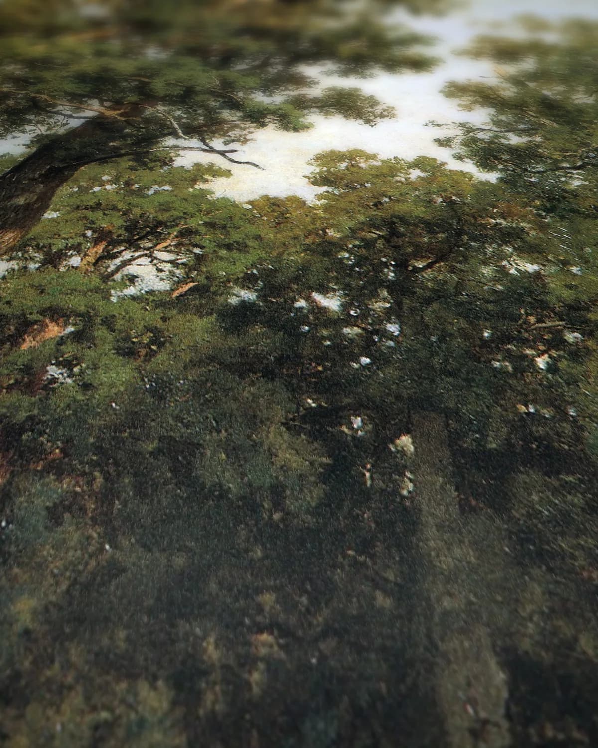 Eikenbos (1887) op geweven fluweel, uitsnede 1 van 3
