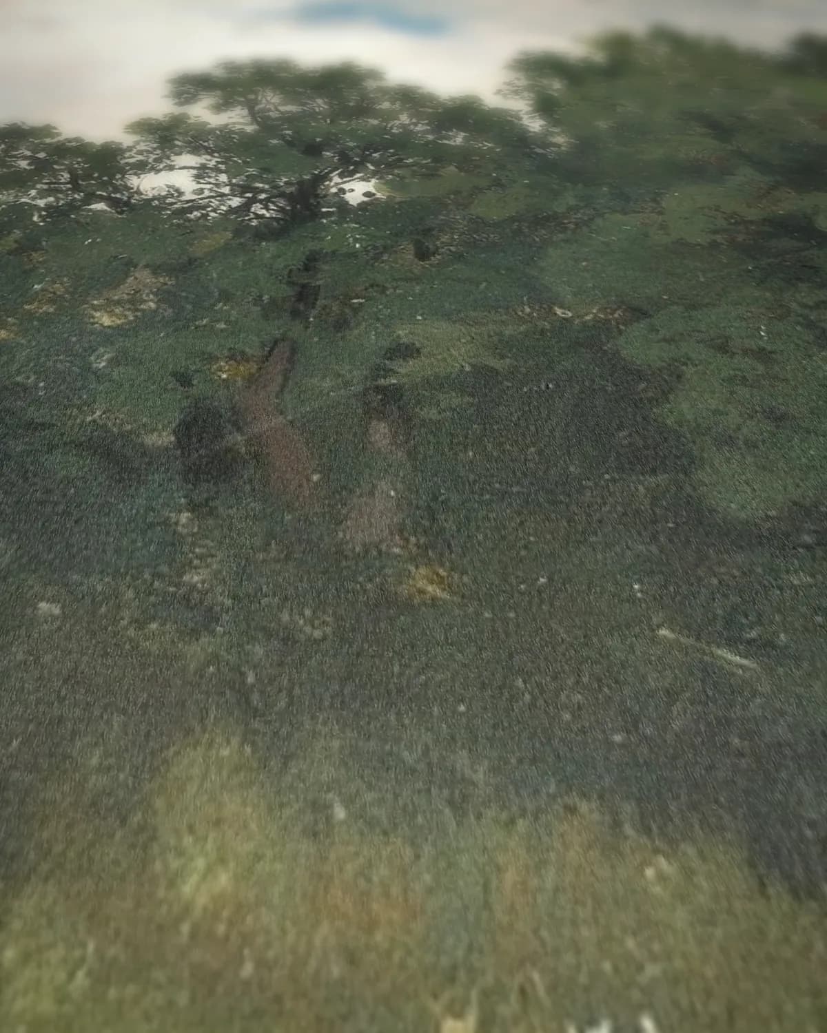 Eikenbosje op een grauwe dag op geweven fluweel, uitsnede 1 van 3
