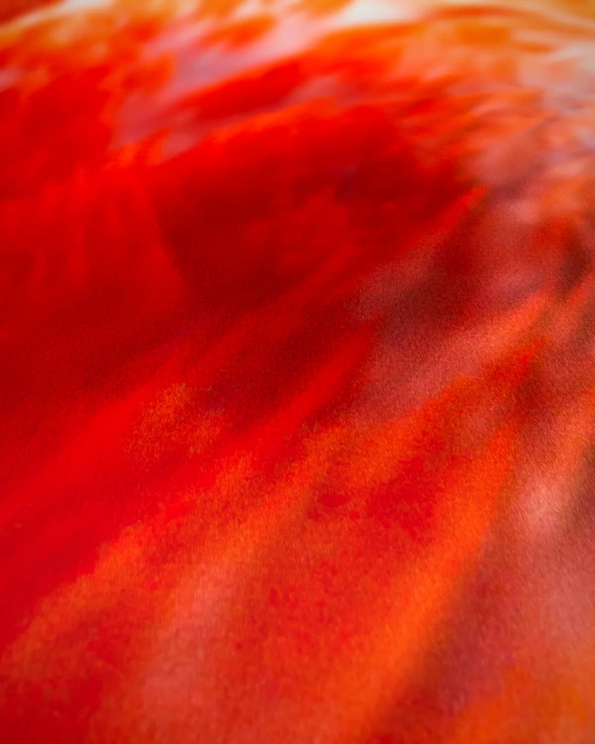 Flamingo op geweven fluweel, uitsnede 1 van 3