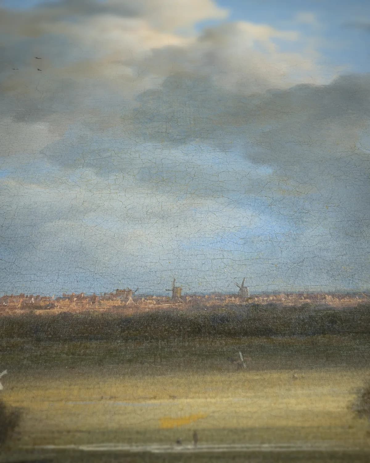Gezicht op Haarlem met bleekvelden op geweven fluweel, uitsnede 3 van 3