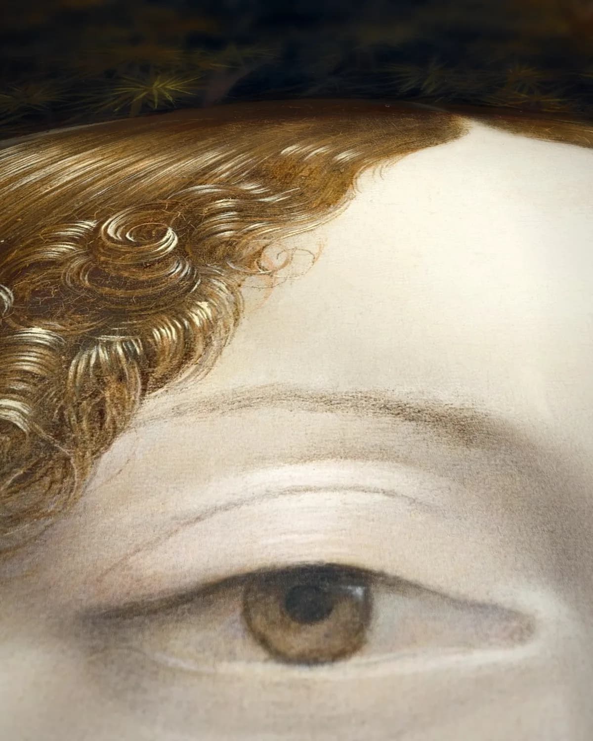 Ginevra de' Benci op geweven fluweel, uitsnede 3 van 3
