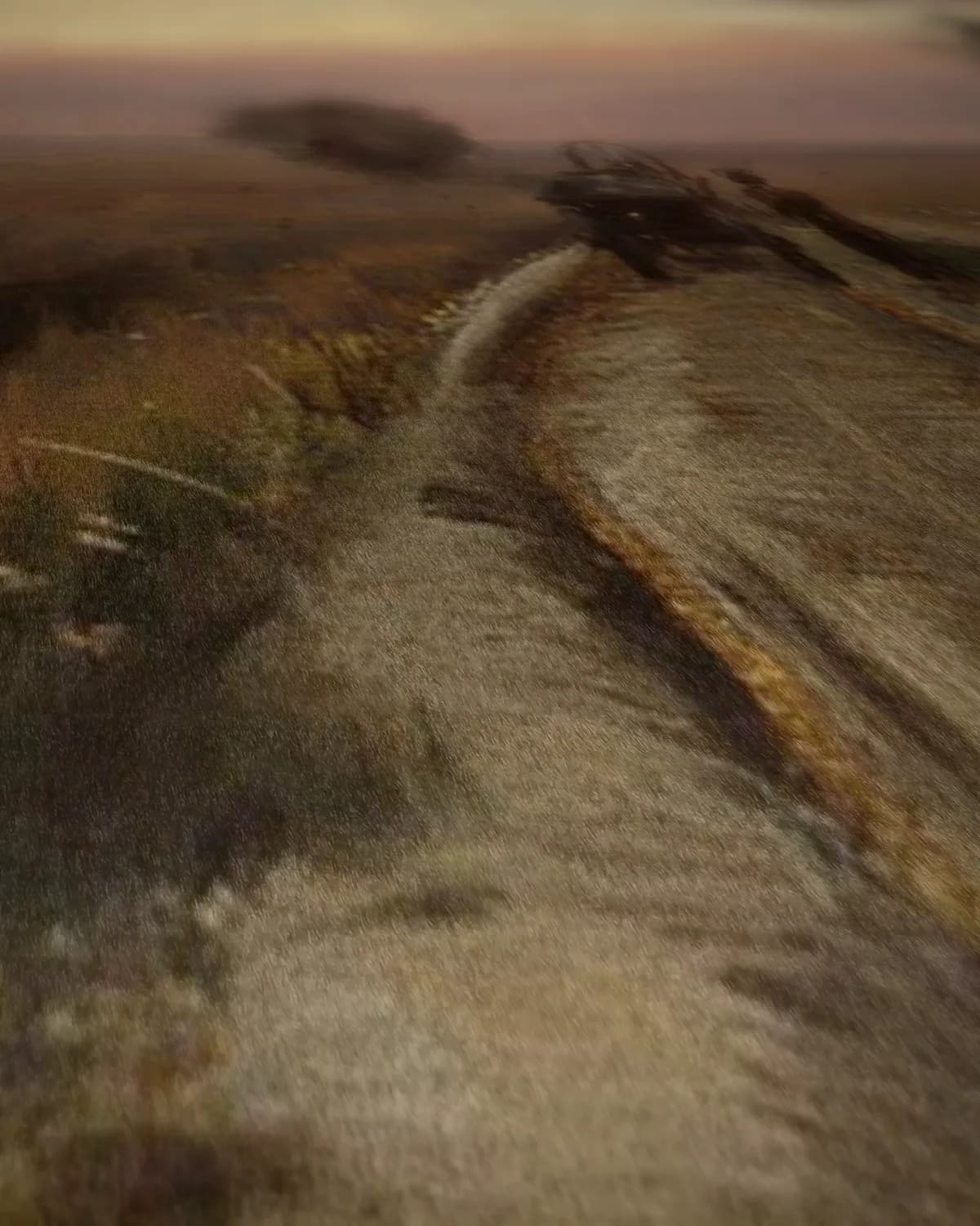 Groene weg naar het dorp op geweven fluweel, uitsnede 2 van 3