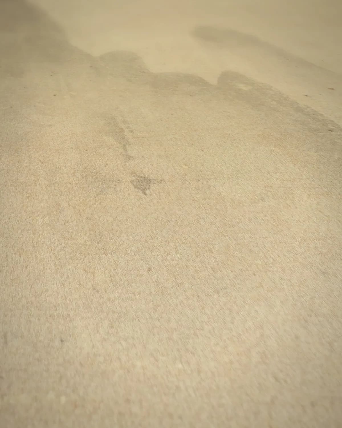 Haboku-landschap (gespat-inkt) op geweven fluweel, uitsnede 2 van 3