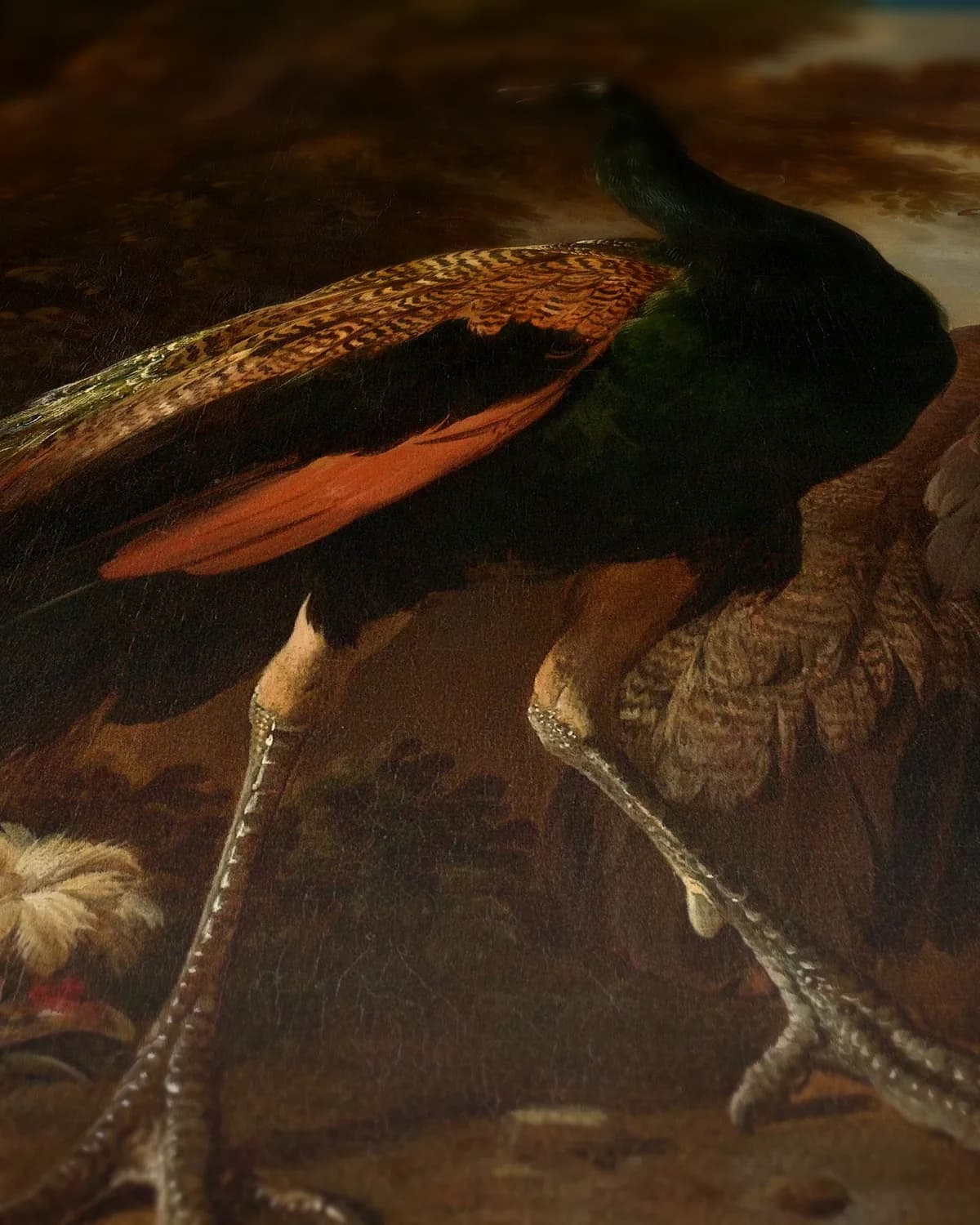 Hen met pauwen en een kalkoen op geweven fluweel, uitsnede 3 van 3