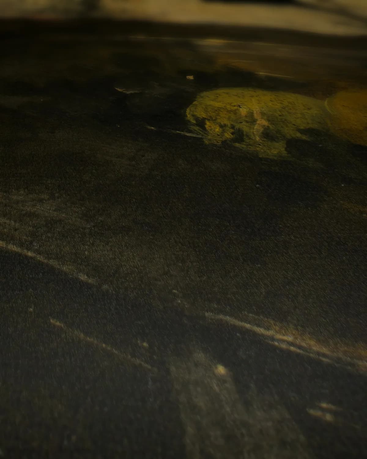 Het Venetiaanse meisje op geweven fluweel, uitsnede 2 van 3