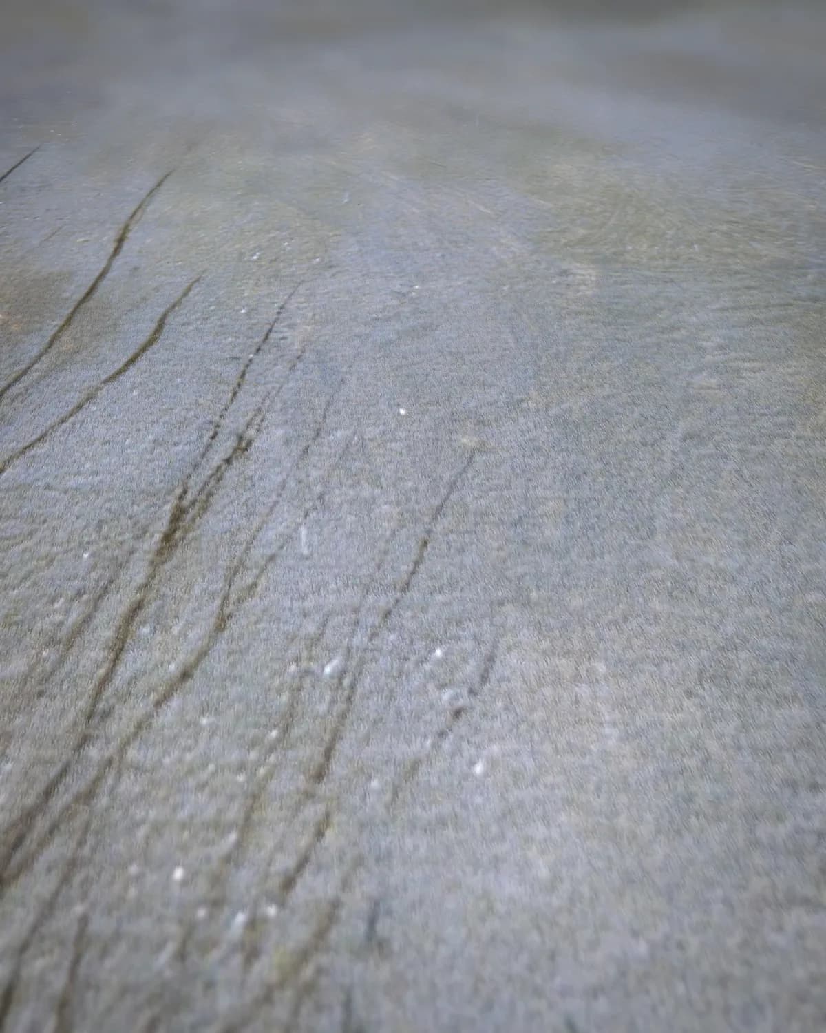 Hollandse landweg op geweven fluweel, uitsnede 1 van 3