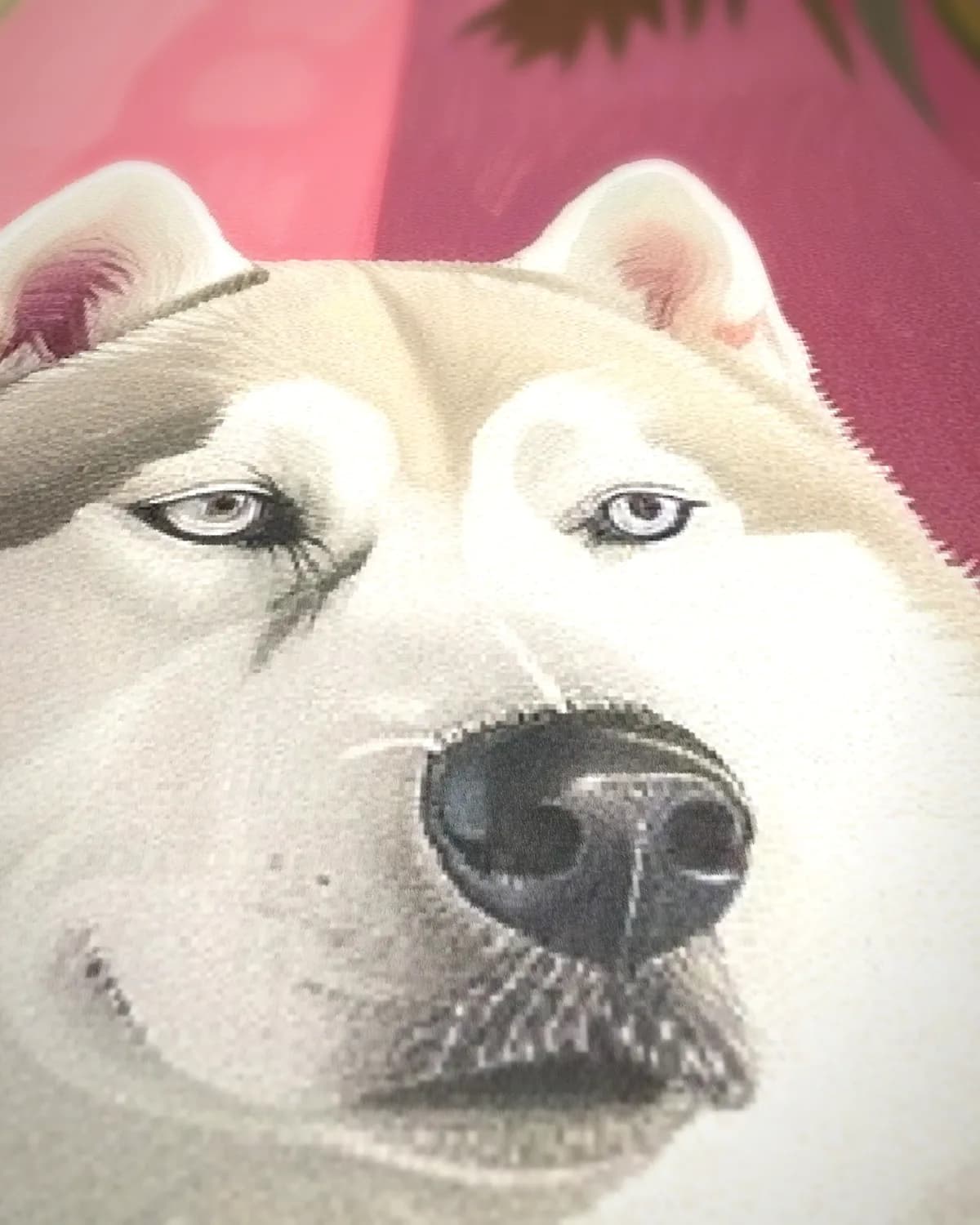 Husky Lounge op geweven fluweel, uitsnede 3 van 3