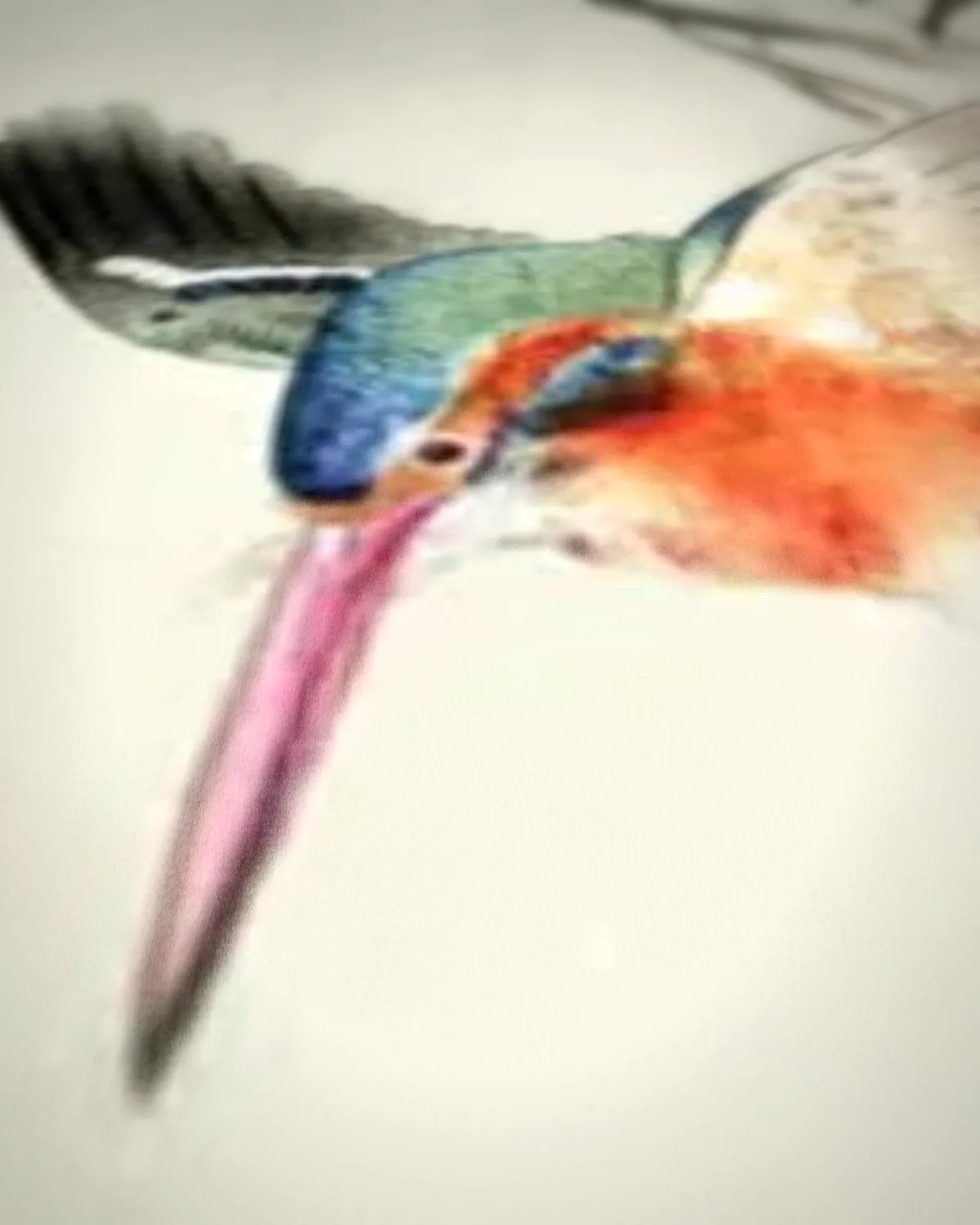 IJsvogel die op vis jaagt op geweven fluweel, uitsnede 3 van 3