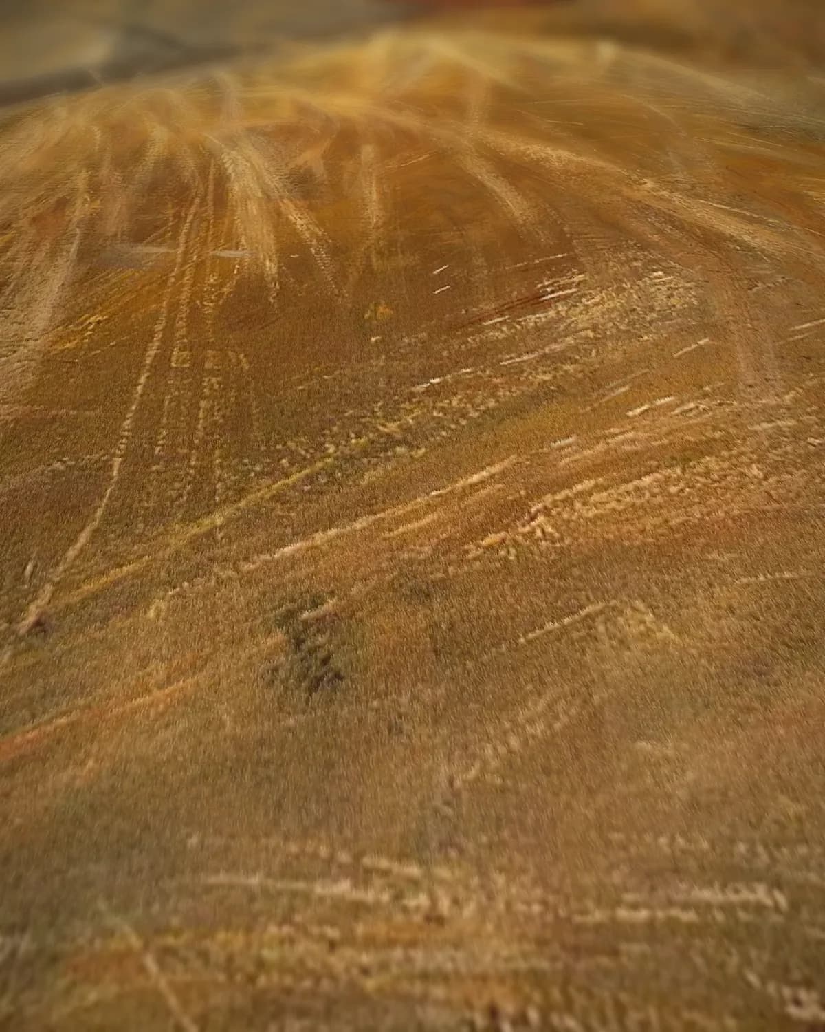 In de Oogst (I høst, 1885) op geweven fluweel, uitsnede 1 van 3