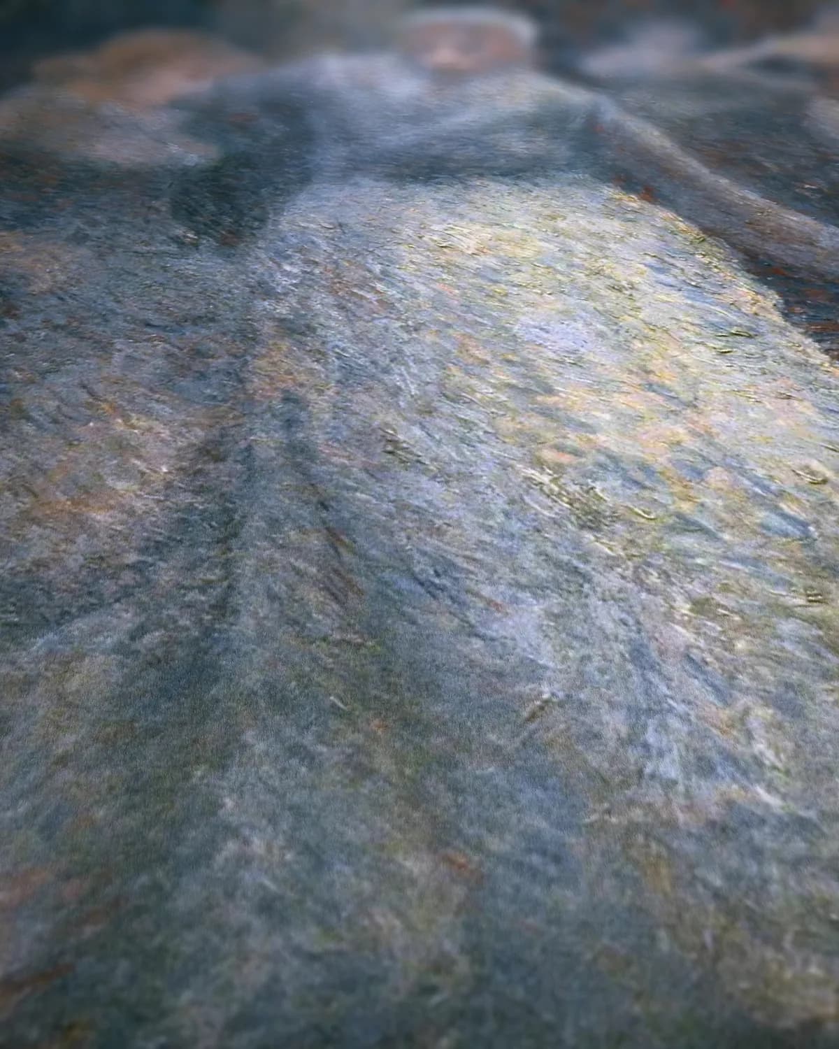 In de Nes op geweven fluweel, uitsnede 3 van 3