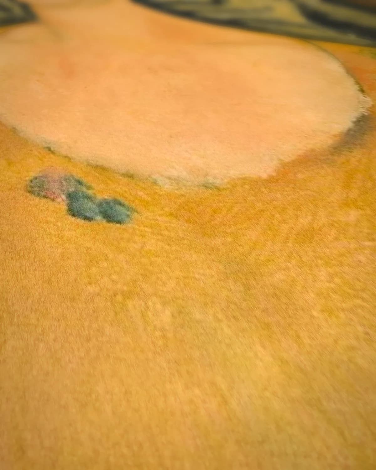 Jonge vrouw in een gele jurk, Renée Modot op geweven fluweel, uitsnede 2 van 3