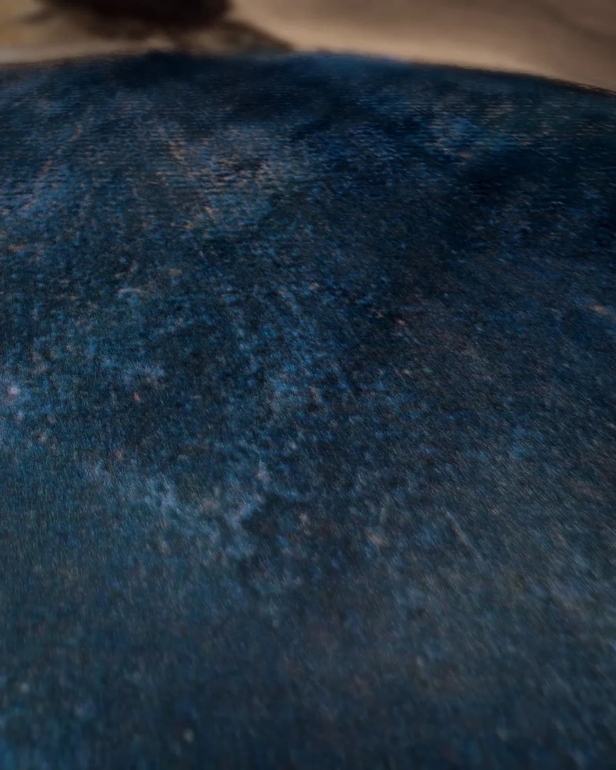 Jonge vrouw in het blauw op geweven fluweel, uitsnede 2 van 3