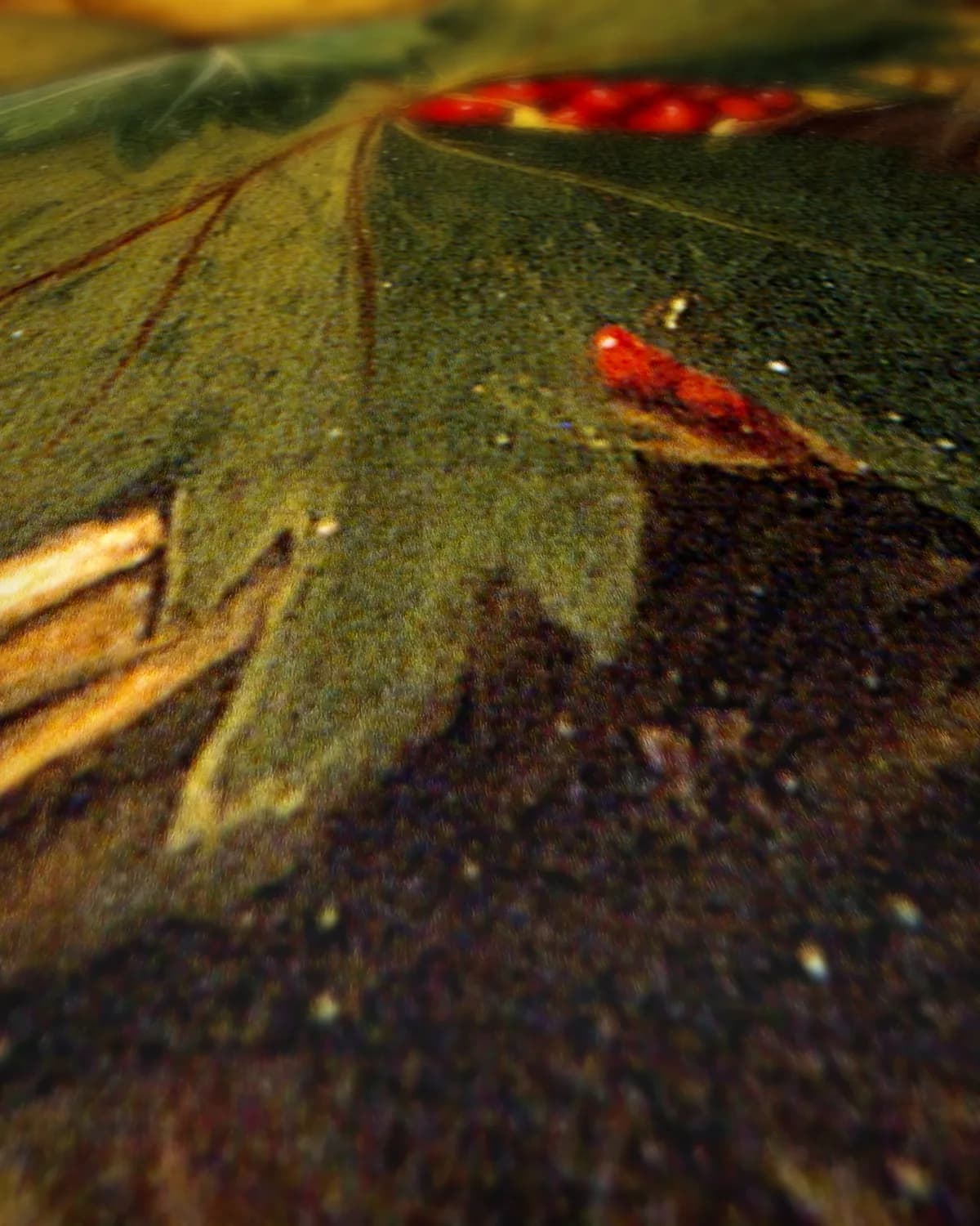 Jongen met een fruitmand op geweven fluweel, uitsnede 1 van 3
