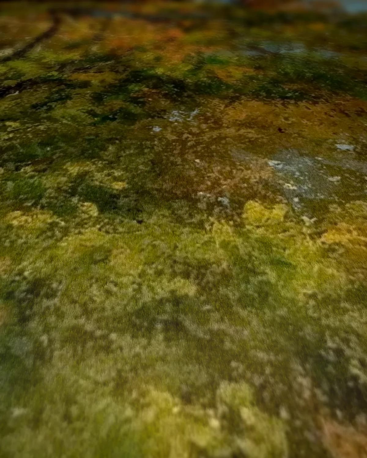 Jules Le Cœur en zijn honden in het bos van Fontainebleau op geweven fluweel, uitsnede 1 van 3