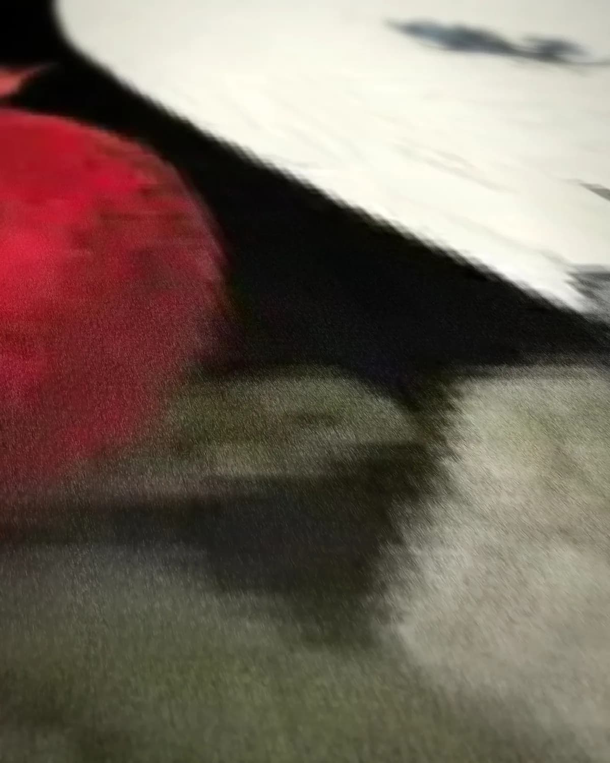 Kaketoe en Granaatappel op geweven fluweel, uitsnede 2 van 3