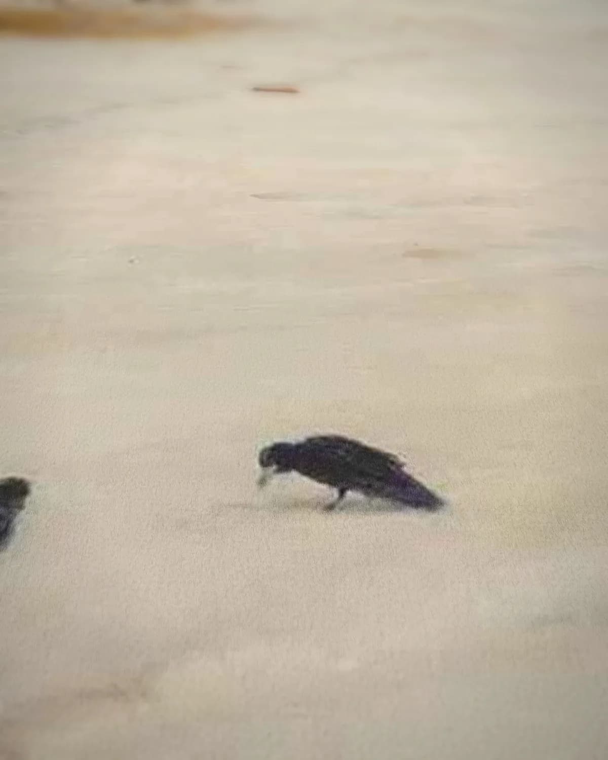 Kerstavond op geweven fluweel, uitsnede 3 van 3
