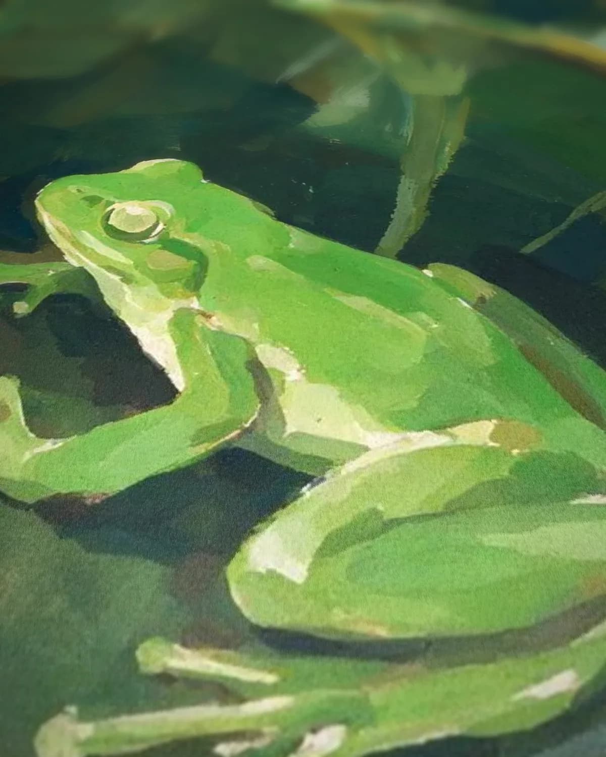 Kikker op een blad op geweven fluweel, uitsnede 3 van 3