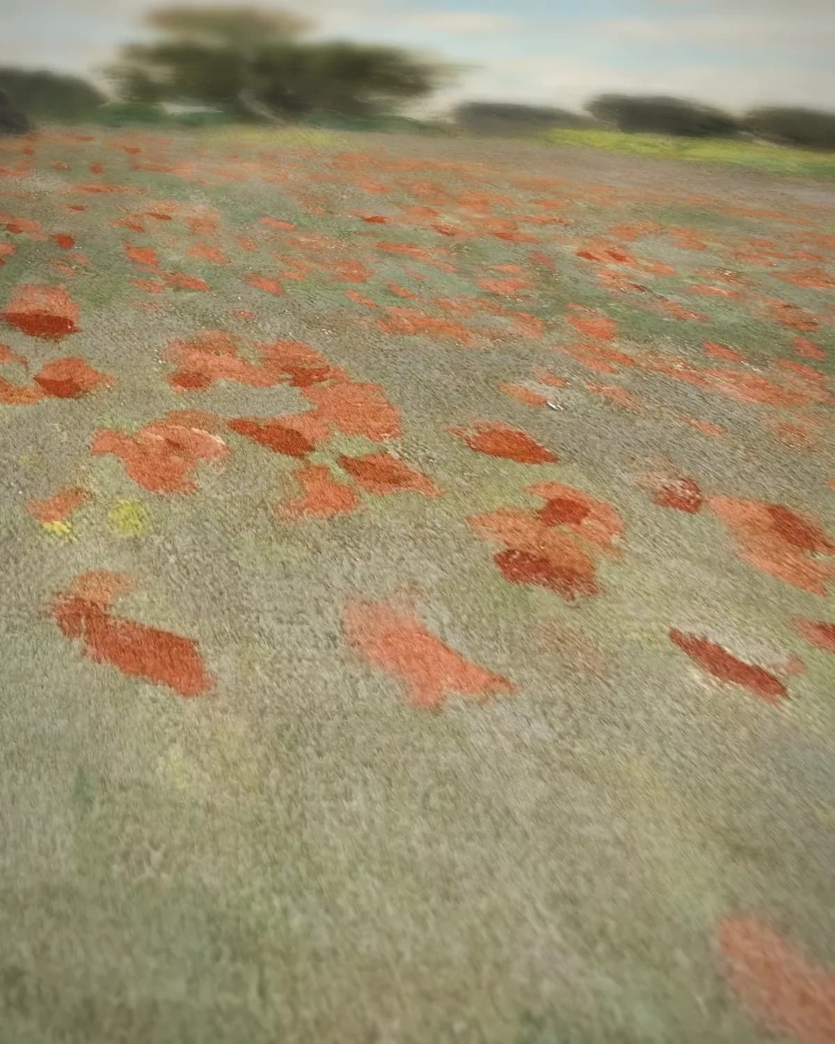 Klaprozenveld bij Argenteuil op geweven fluweel, uitsnede 2 van 3