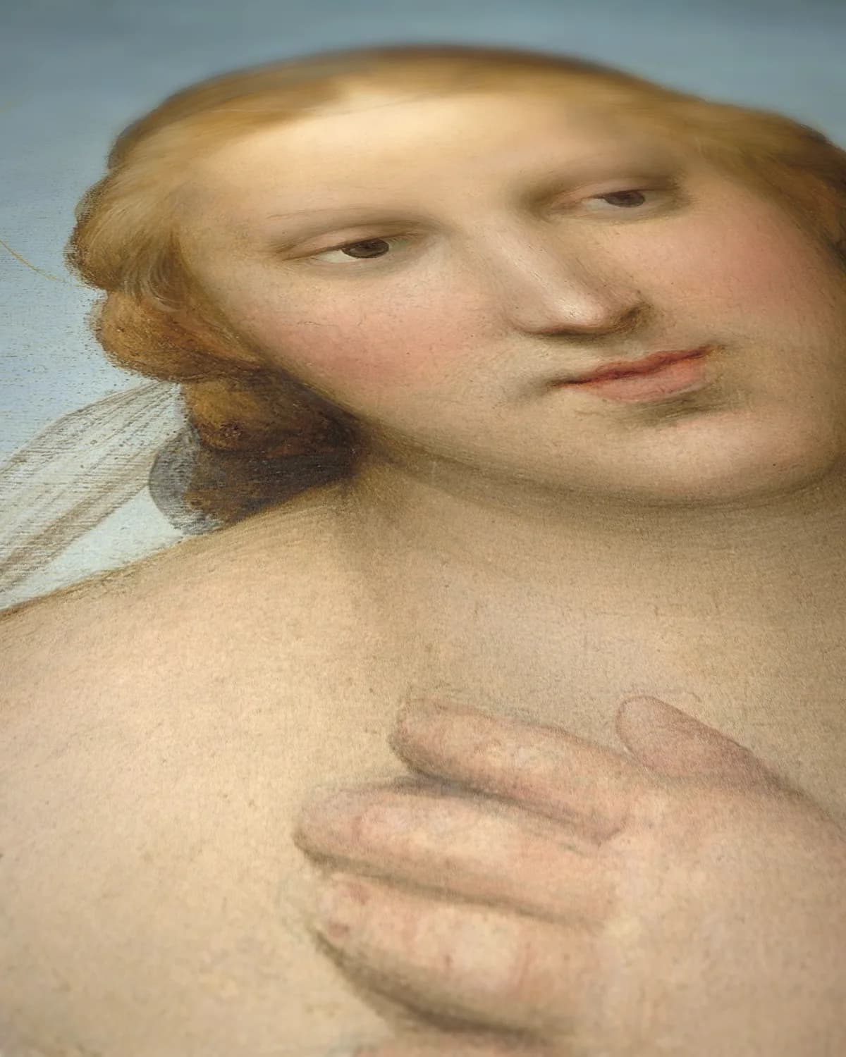 Kleine Madonna Cowper op geweven fluweel, uitsnede 3 van 3