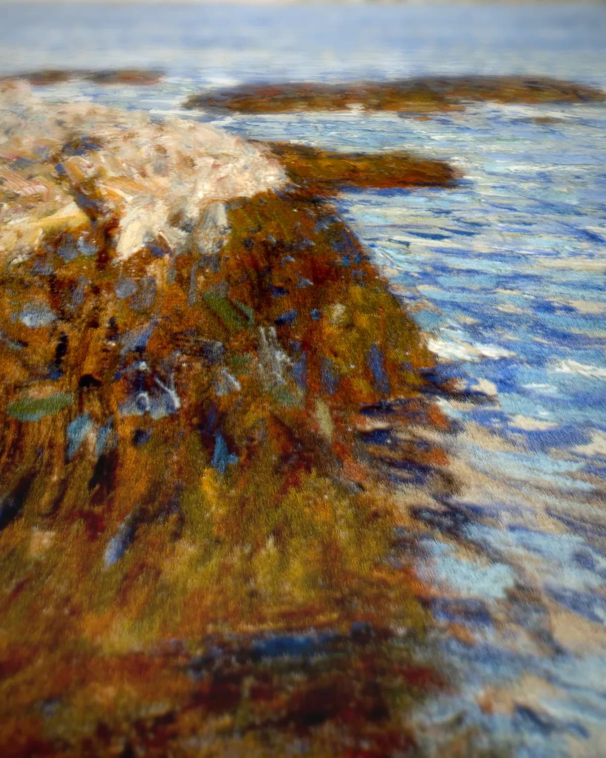 Klifrots, Appledore op geweven fluweel, uitsnede 1 van 3