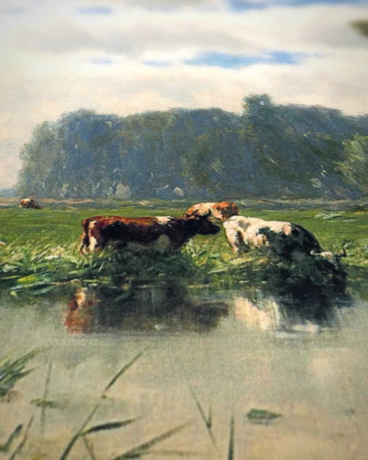 Koeien aan de waterkant op geweven fluweel, uitsnede 3 van 3