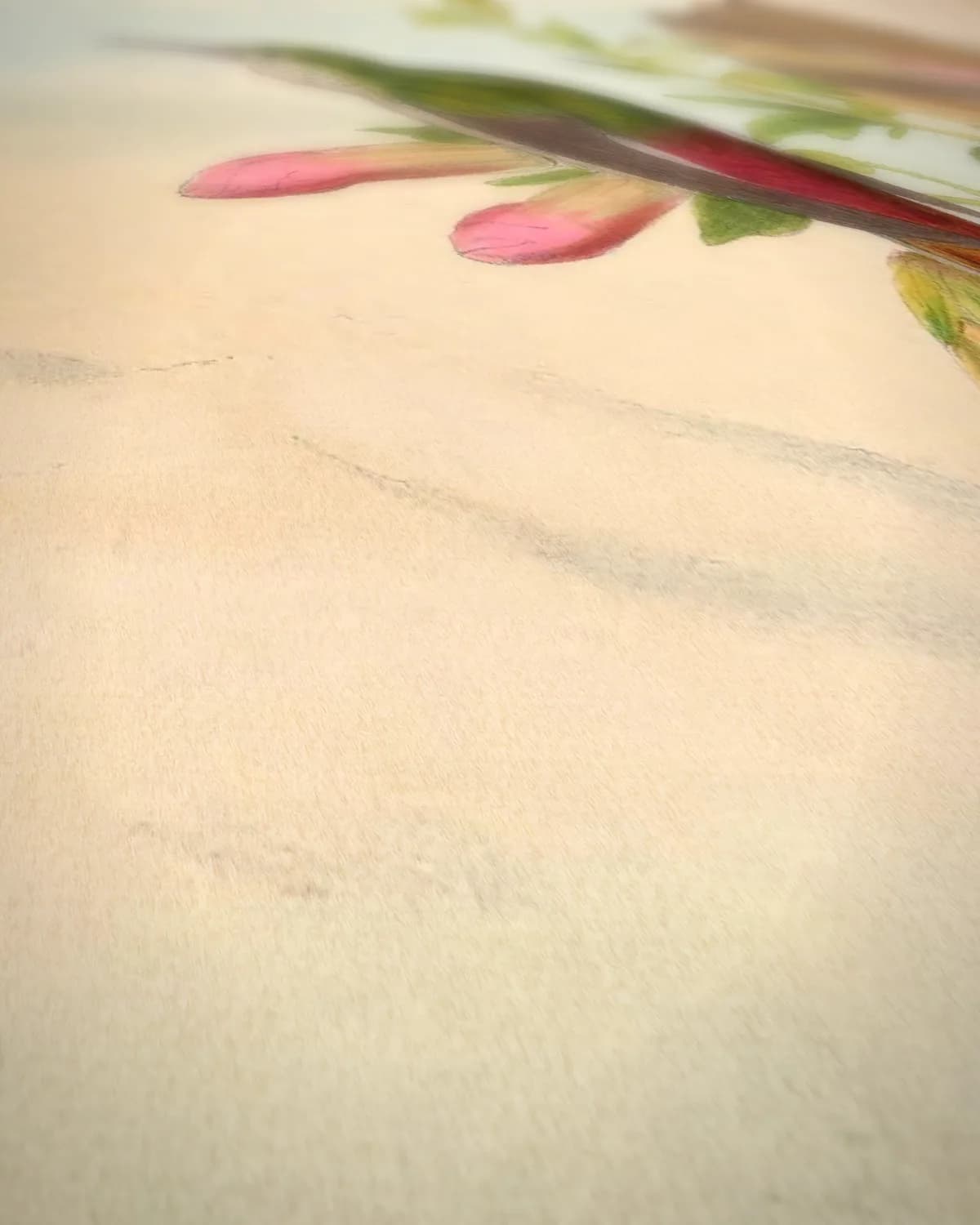 Kolibries (Sappho sparganura) op geweven fluweel, uitsnede 2 van 3