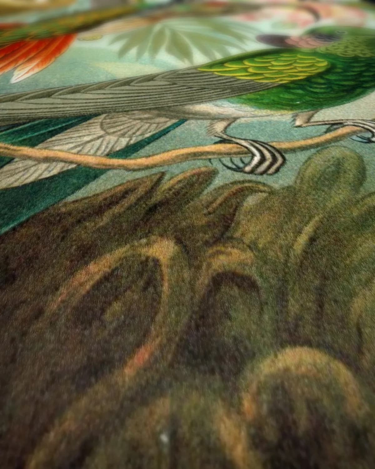 Kolibris's Kunstformen der Natur op geweven fluweel, uitsnede 1 van 3