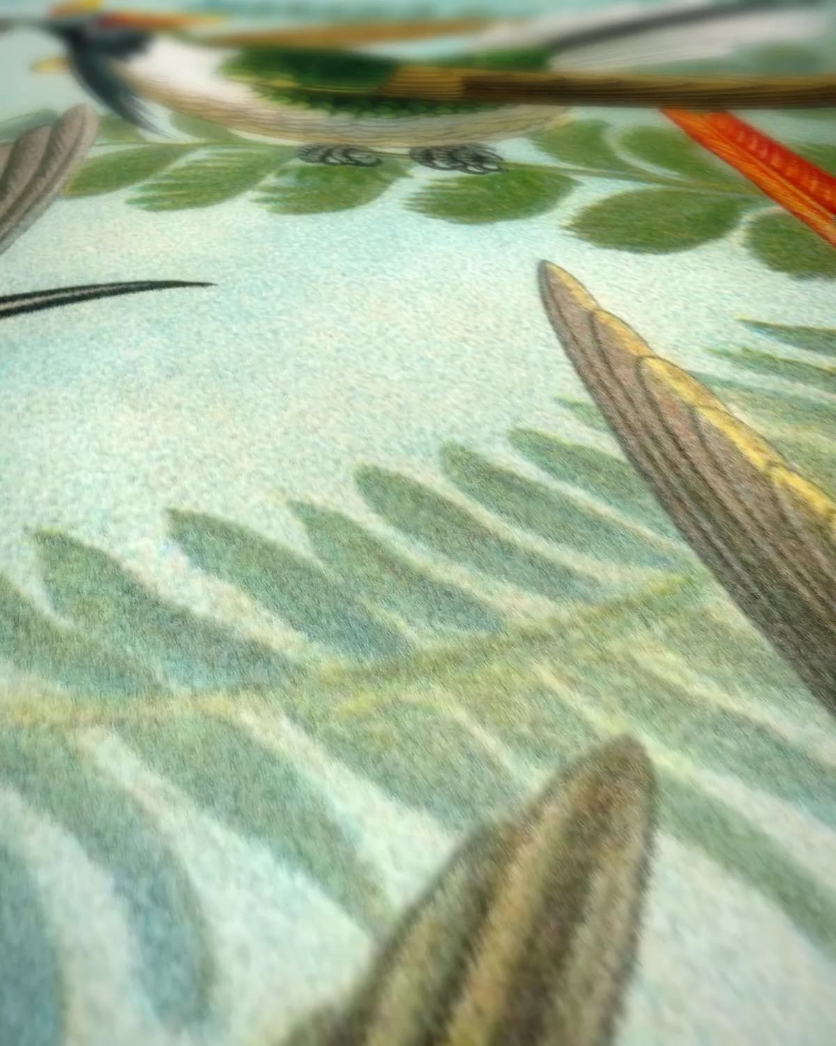 Kolibris's Kunstformen der Natur op geweven fluweel, uitsnede 2 van 3