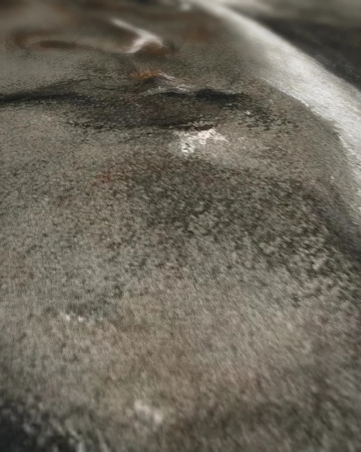 Kop in tegenlicht op geweven fluweel, uitsnede 2 van 3