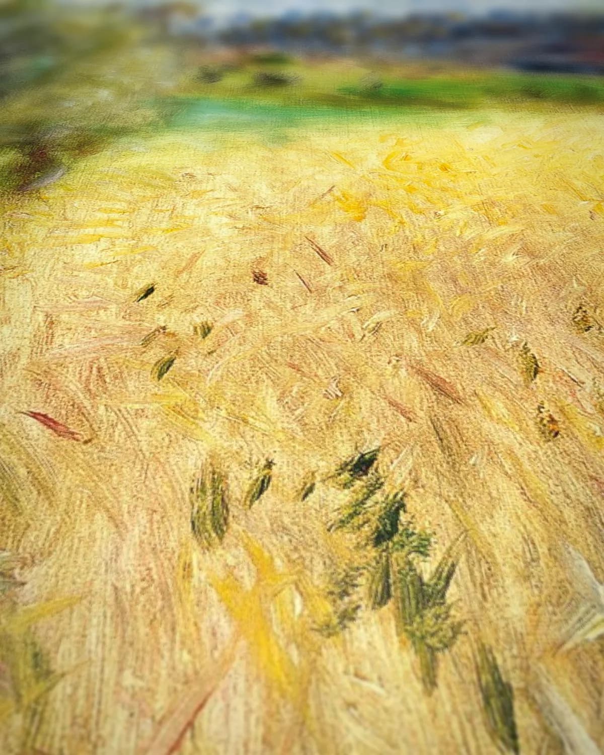 Korenveld (Campo de trigo, 1879) op geweven fluweel, uitsnede 3 van 3