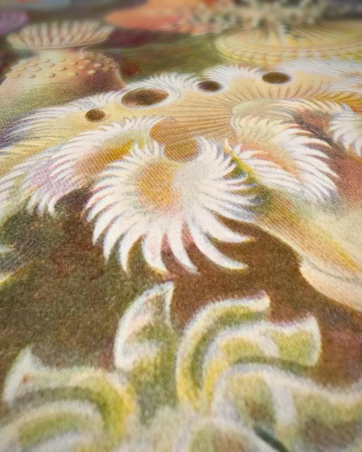 Kunstformen der Natur (1904) op geweven fluweel, uitsnede 1 van 3