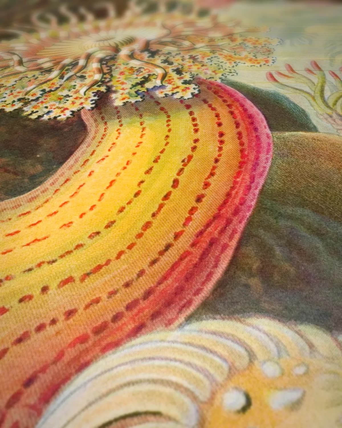 Kunstformen der Natur (1904) op geweven fluweel, uitsnede 3 van 3