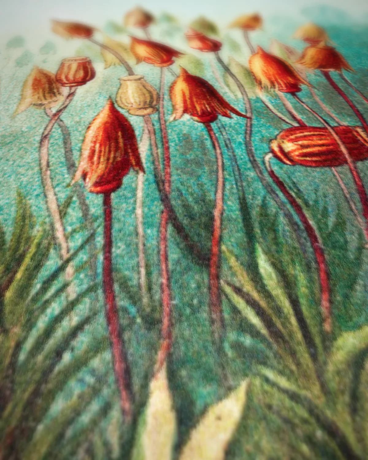 Kunstformen der Natur III op geweven fluweel, uitsnede 1 van 3