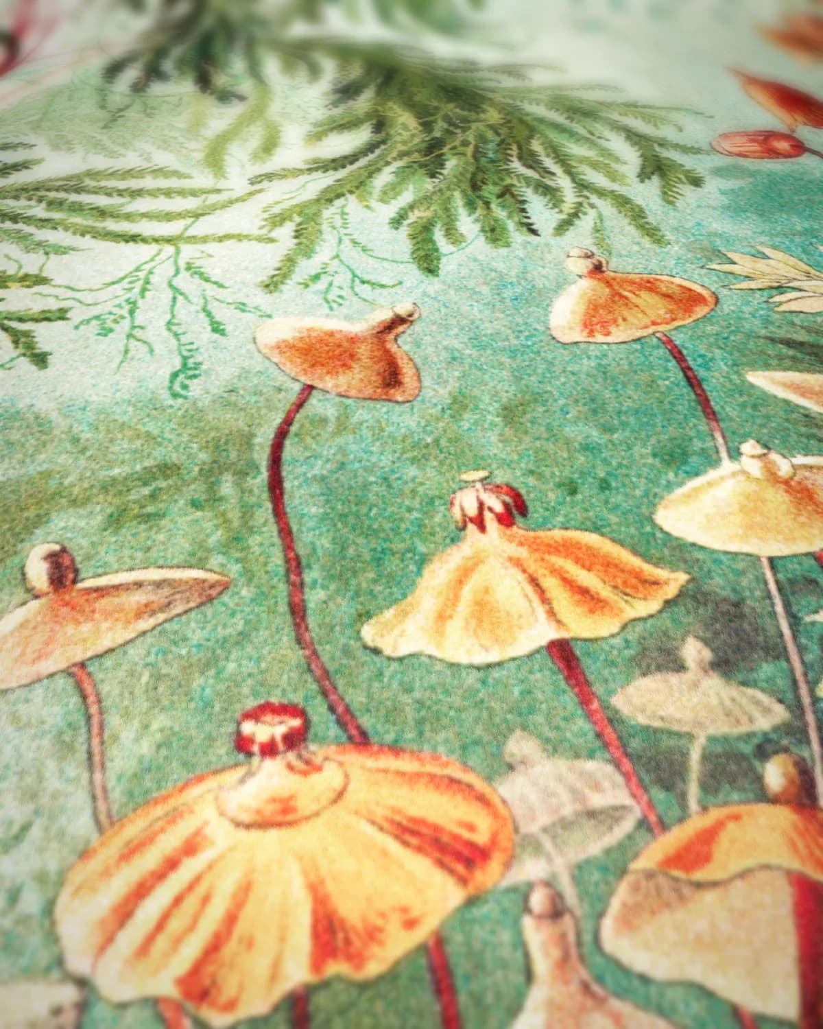 Kunstformen der Natur III op geweven fluweel, uitsnede 3 van 3