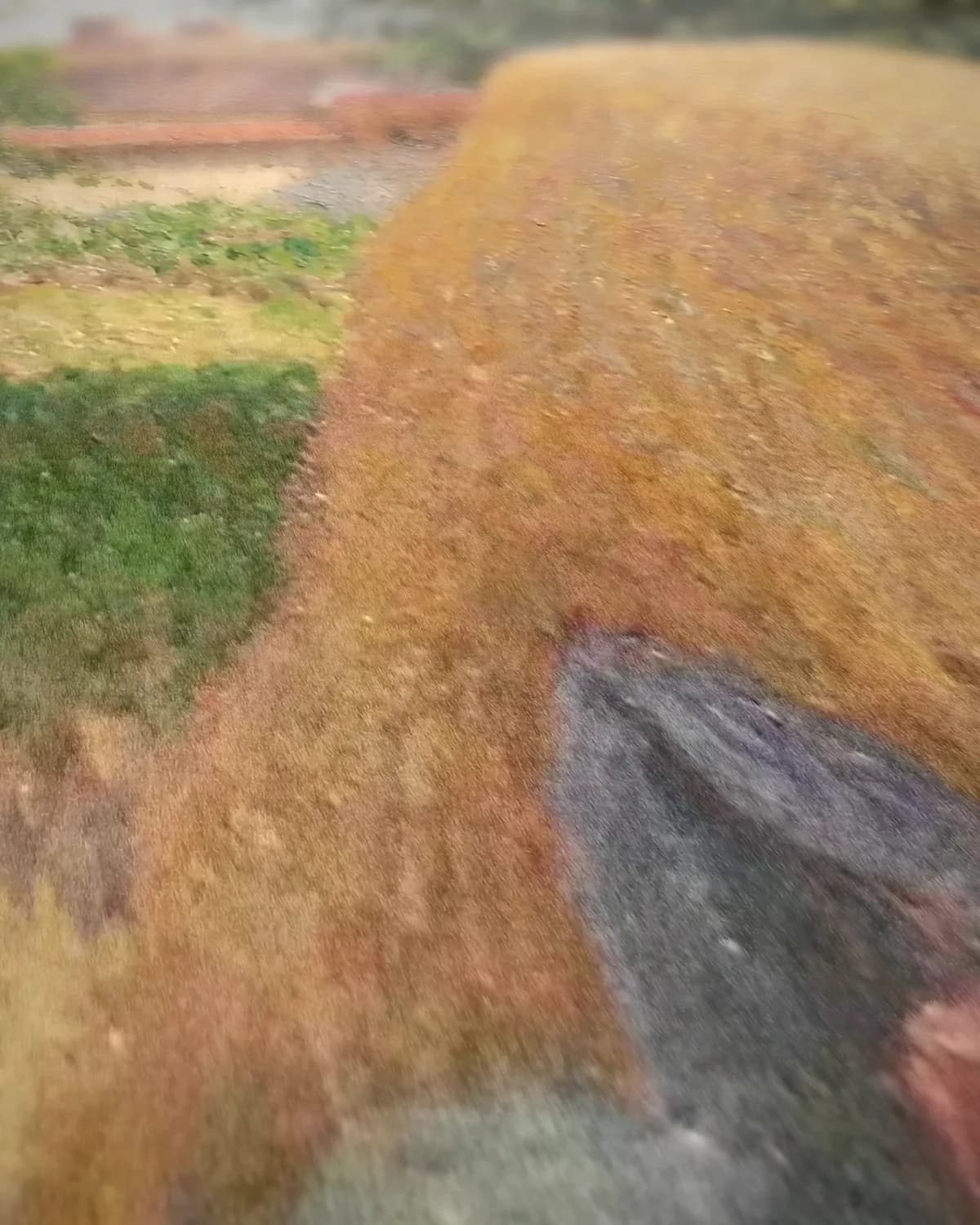 De middagrust, Éragny op geweven fluweel, uitsnede 2 van 3